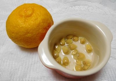 柚子の果汁の利用法